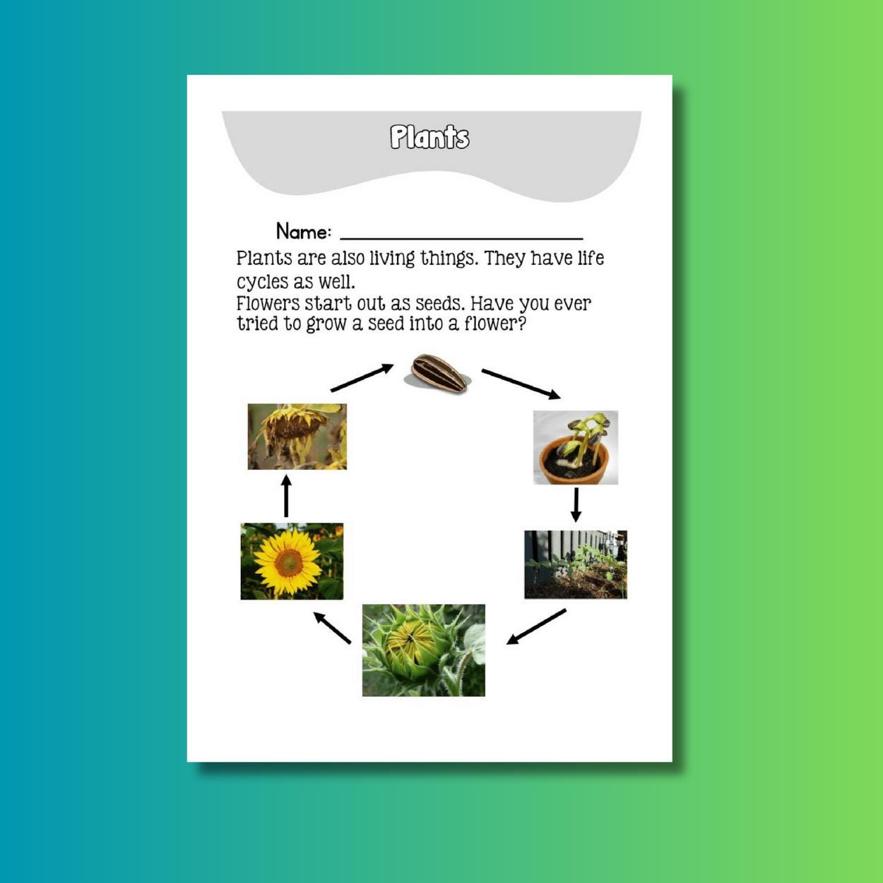 Kids Science Printable Worksheet Bundle