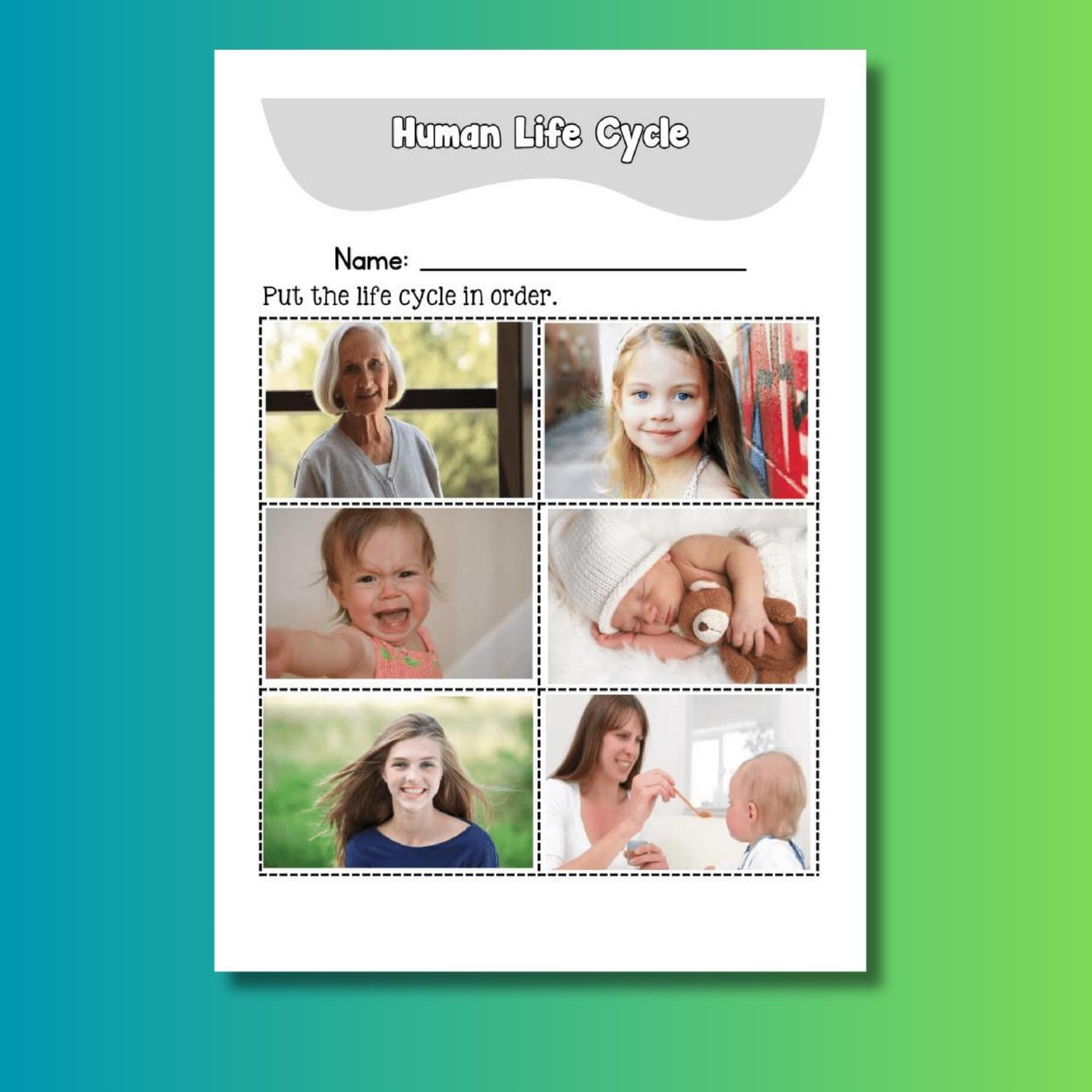 Kids Science Printable Worksheet Bundle